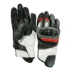 Motorcycle Glove