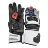Motorcycle Glove